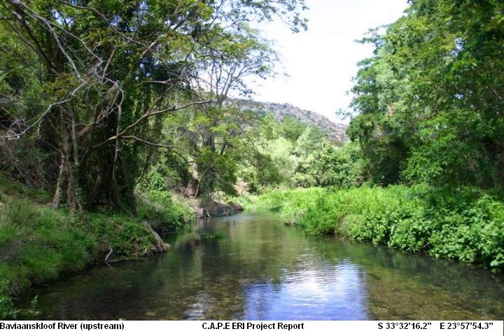 Baviaanskloof River upstream, C.A.P.E ERI Project Report