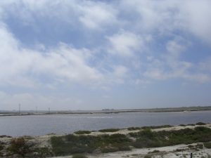 Berg River Estuary