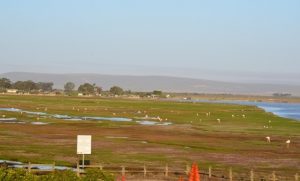 berg river estuary