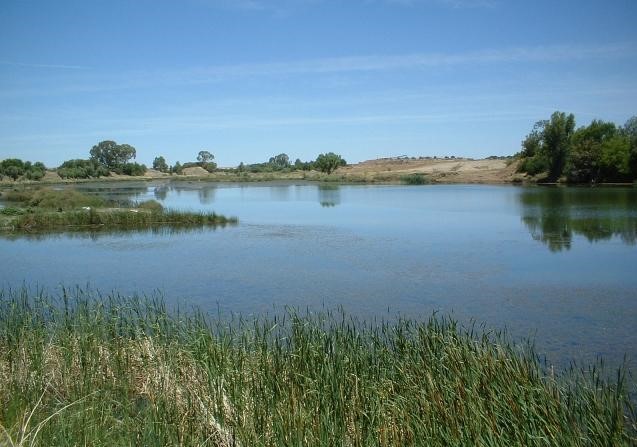 Harts River
