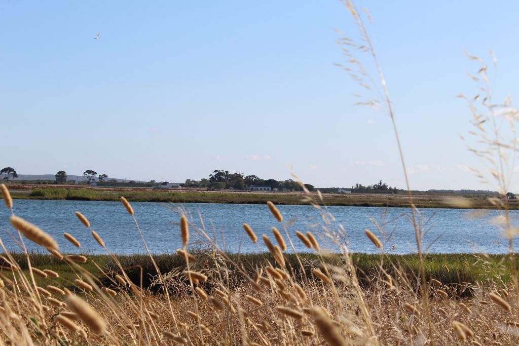 Berg River part of estuary ,Velddrif, West Coast