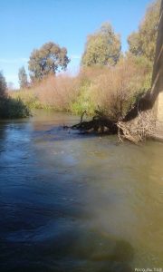 Berg River