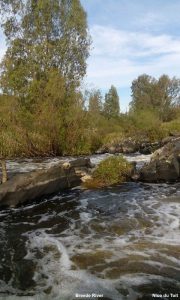 Breede River