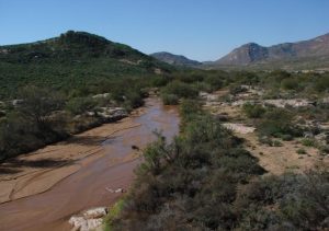 Buffels River Eastern Cape