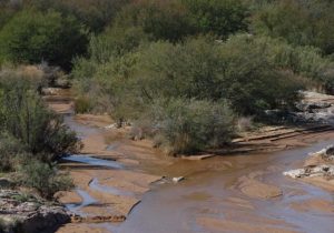 Buffels River Eastern Cape