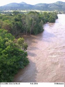 Crocodile River in flood