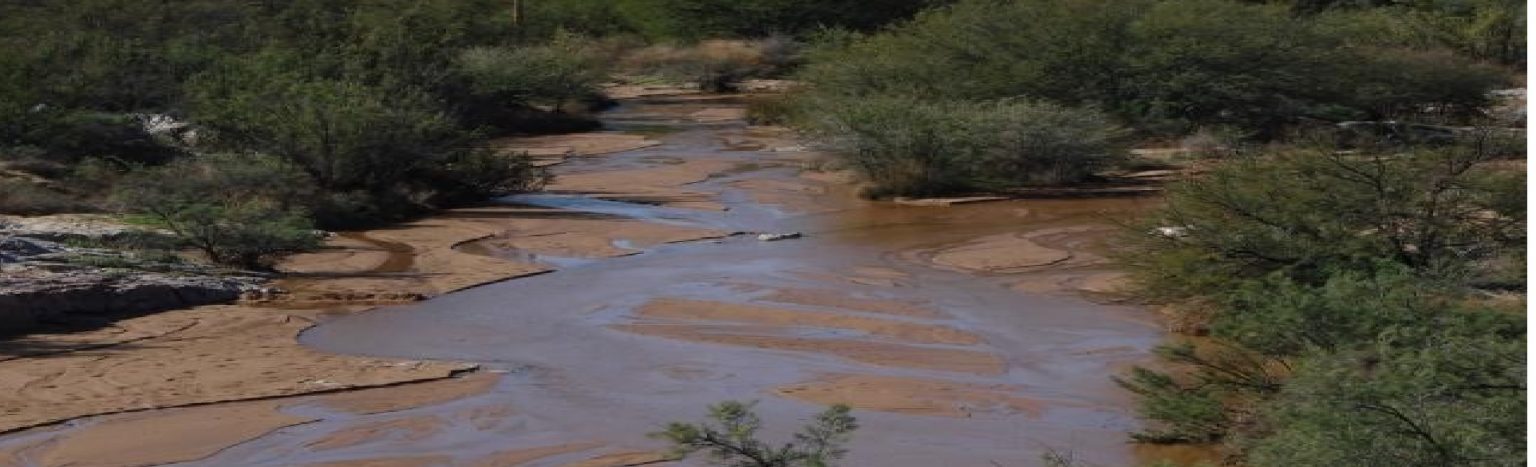 Sa Rivers SA Rivers_Northern Cape – WATERInfo